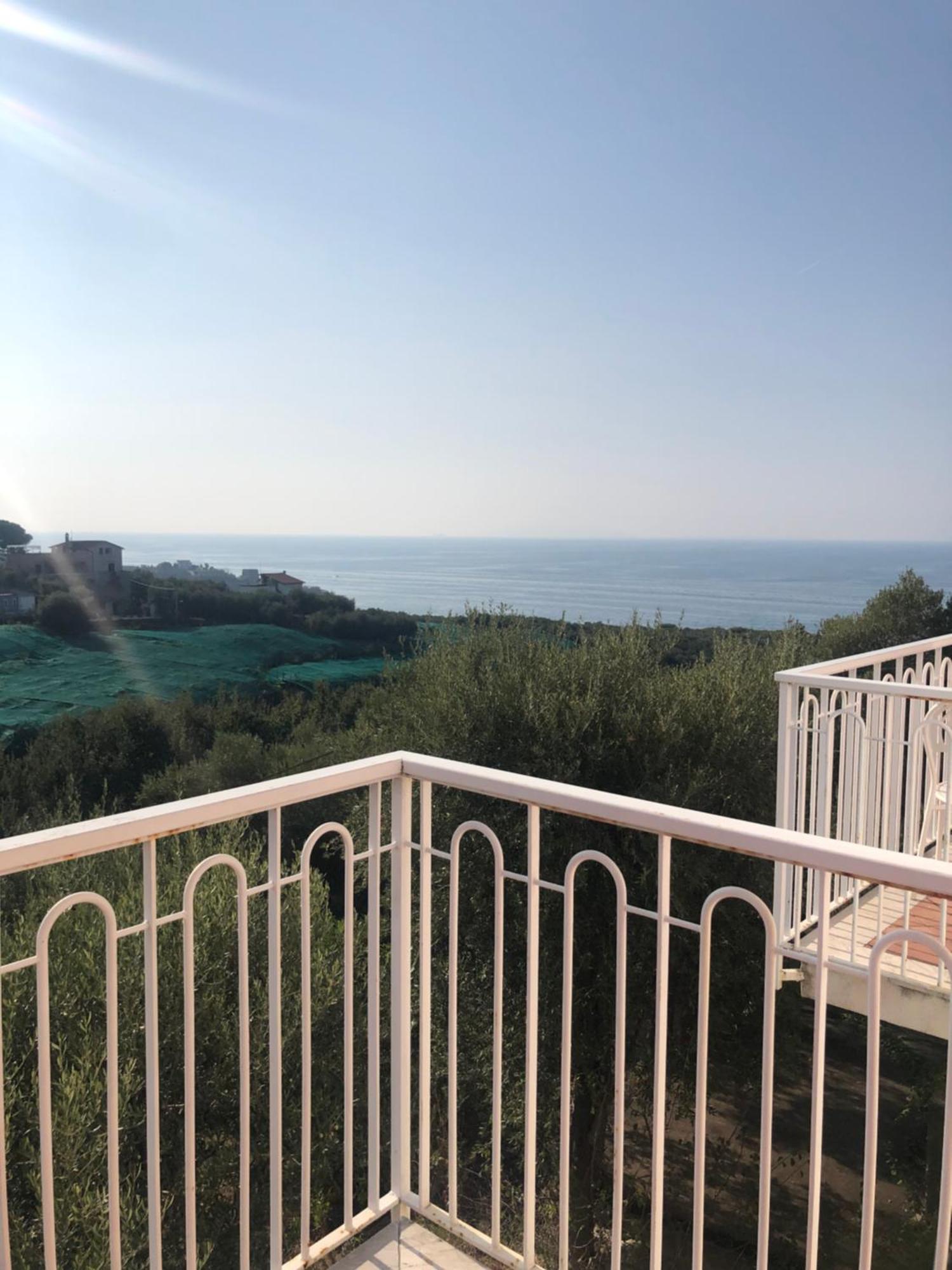 Hotel Dania Sorrento Ngoại thất bức ảnh